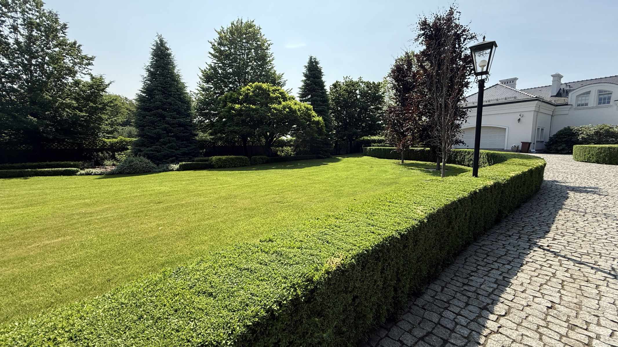 Ogród rezydencji z formowanym żywopłotem i zadbanym trawnikiem — realizacja GardenProducts