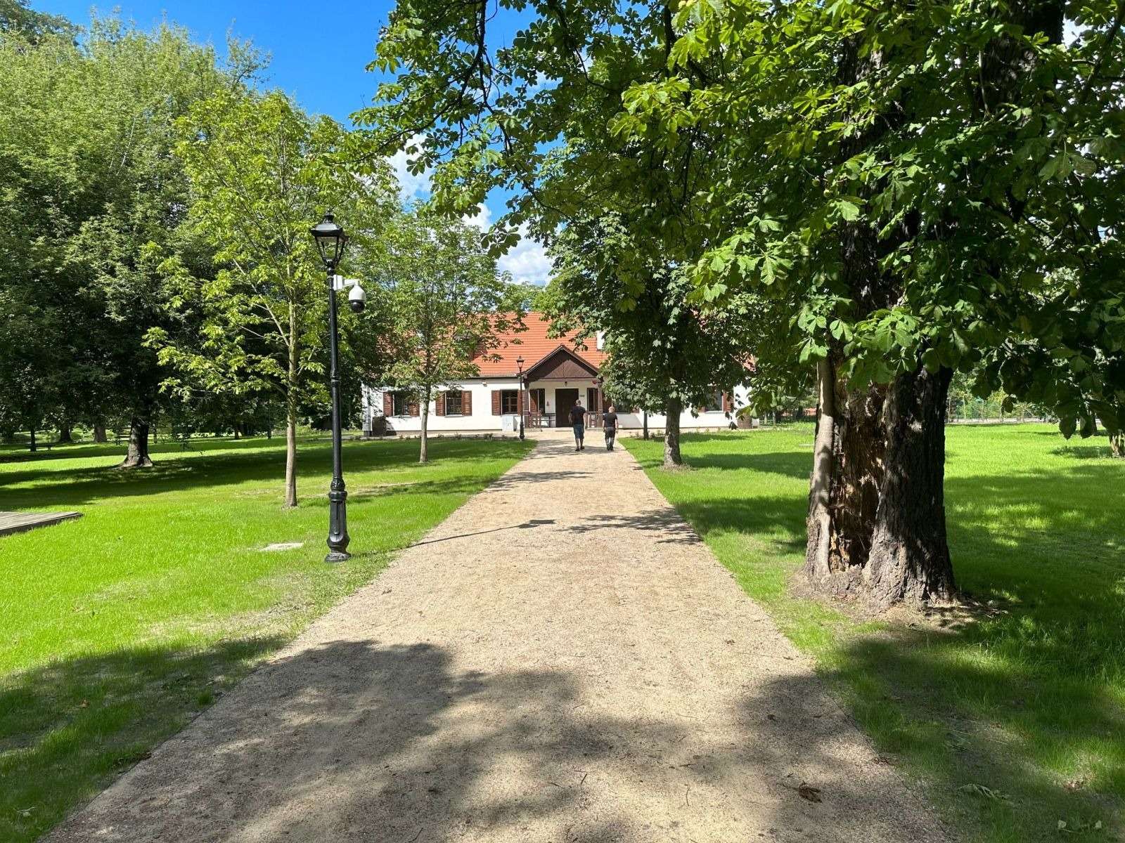 Aleja parkowa prowadząca do Dworku Marii Dąbrowskiej w Russowie po rewaloryzacji