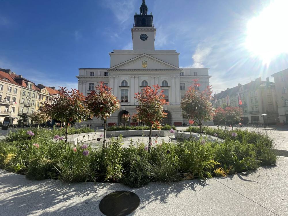 Główny Rynek w Kaliszu z nasadzeniami i fontanną