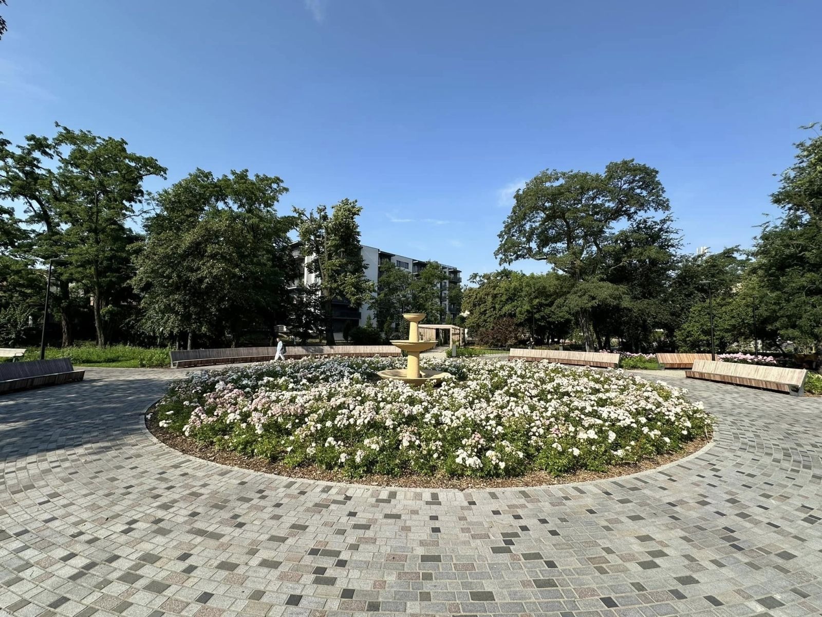 Rosarium z fontanną i ławami parkowymi w Parku Kilińskiego w Ostrowie