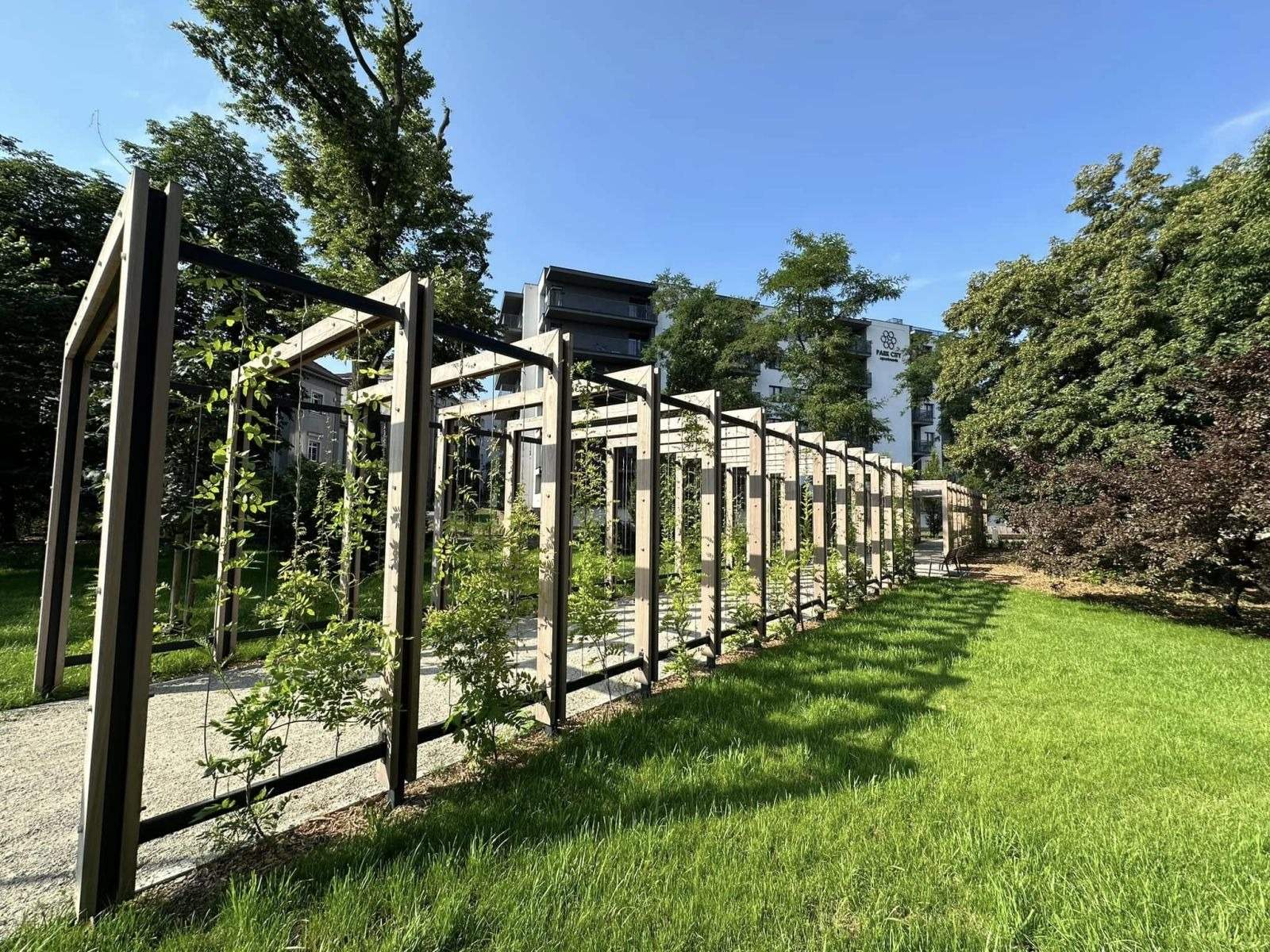 Drewniana pergola z pnączami w zrewaloryzowanym parku w Ostrowie Wielkopolskim