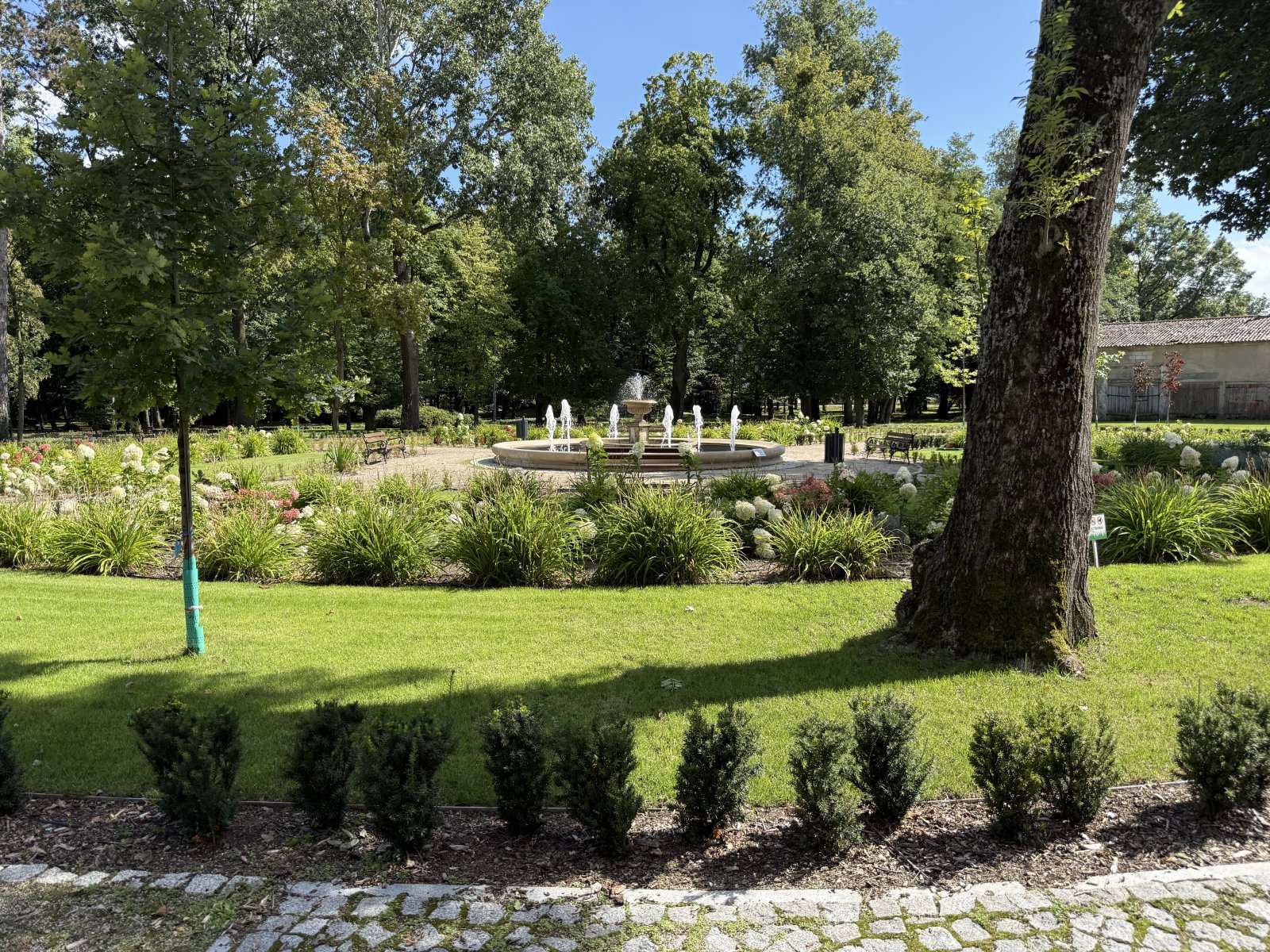 Zrewaloryzowany park z fontanną i zachowanym starodrzewem — efekt nadzoru dendrologicznego przy inwestycji