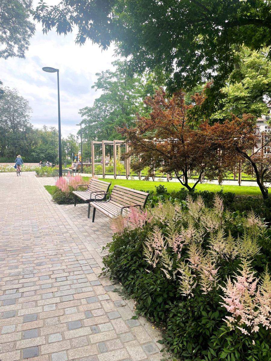Promenada z ławkami i rabatami tawułek w parku miejskim — zieleń publiczna GardenProducts
