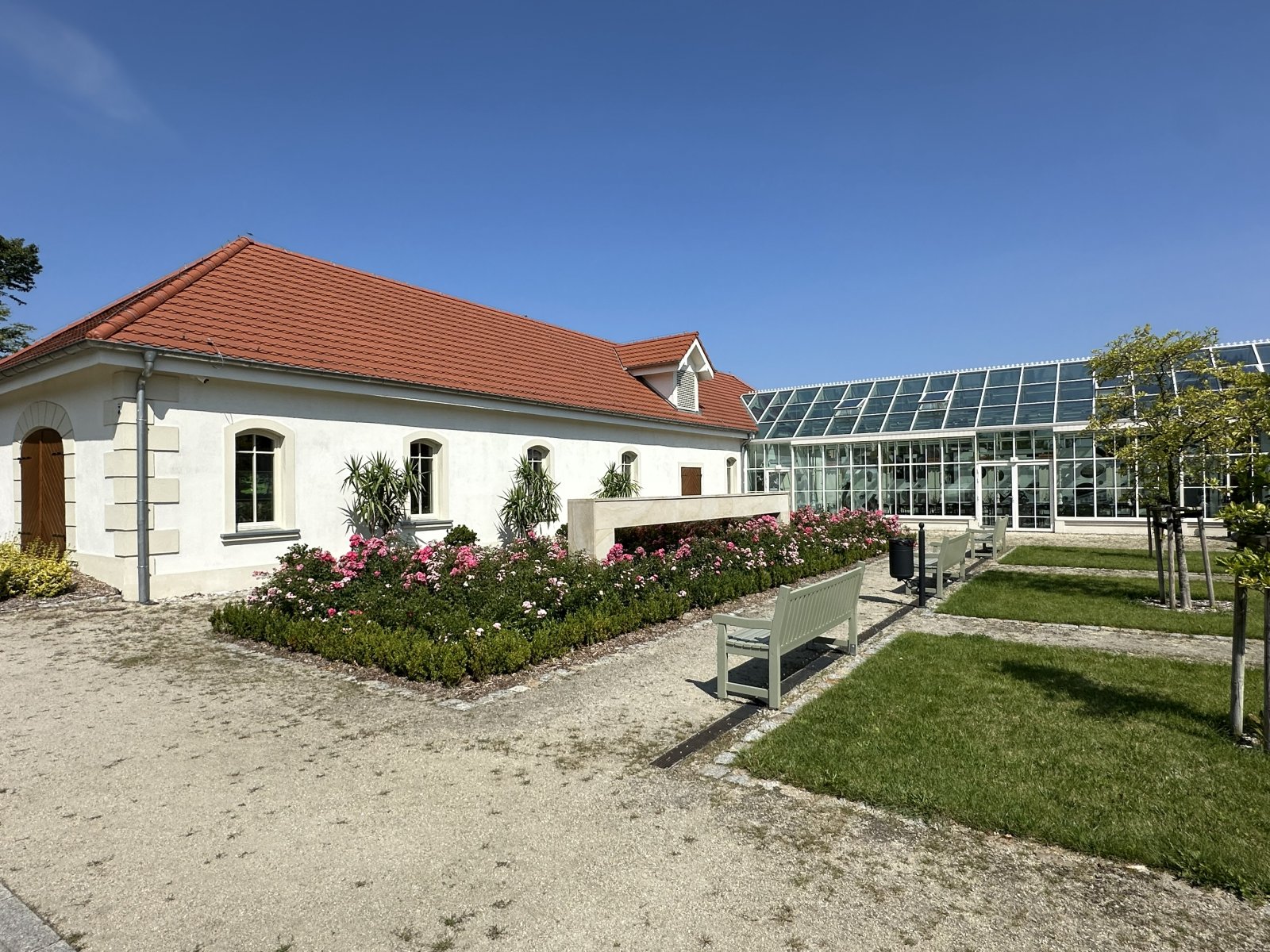 Rabaty róż przy oranżerii w zrewaloryzowanym zespole parkowym