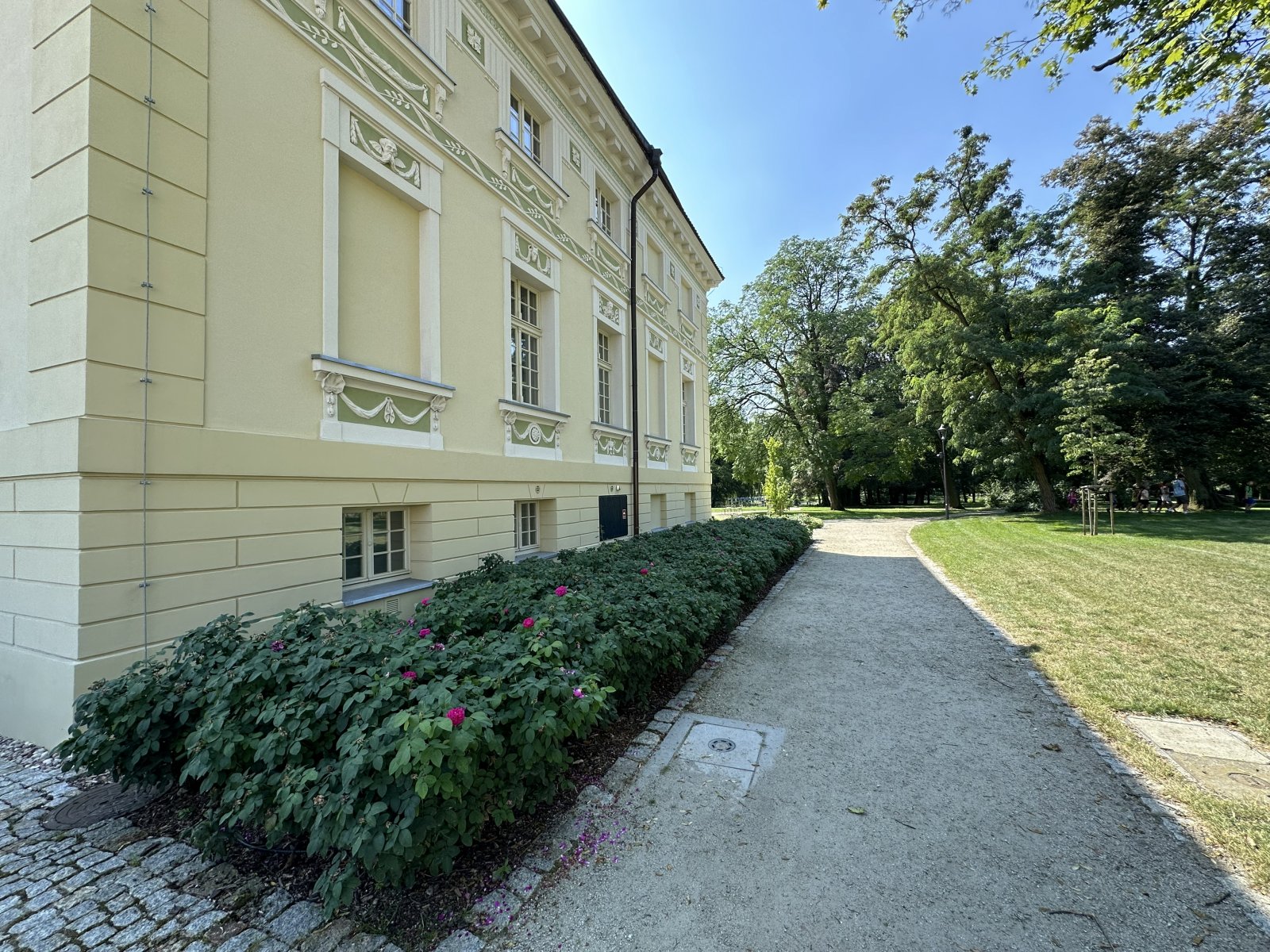 Żywopłot z róż parkowych przy zabytkowym pałacu — zieleń przy obiektach zabytkowych