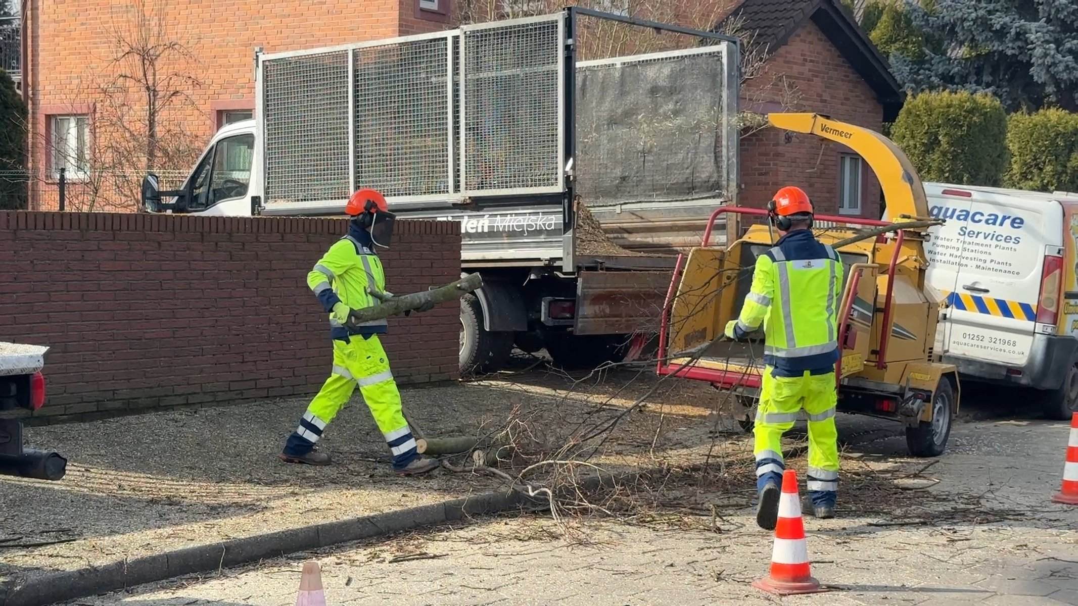 Zrębkowanie gałęzi rębakiem po zabiegach pielęgnacyjnych drzewa pomnikowego — wywóz i utylizacja gałęzi