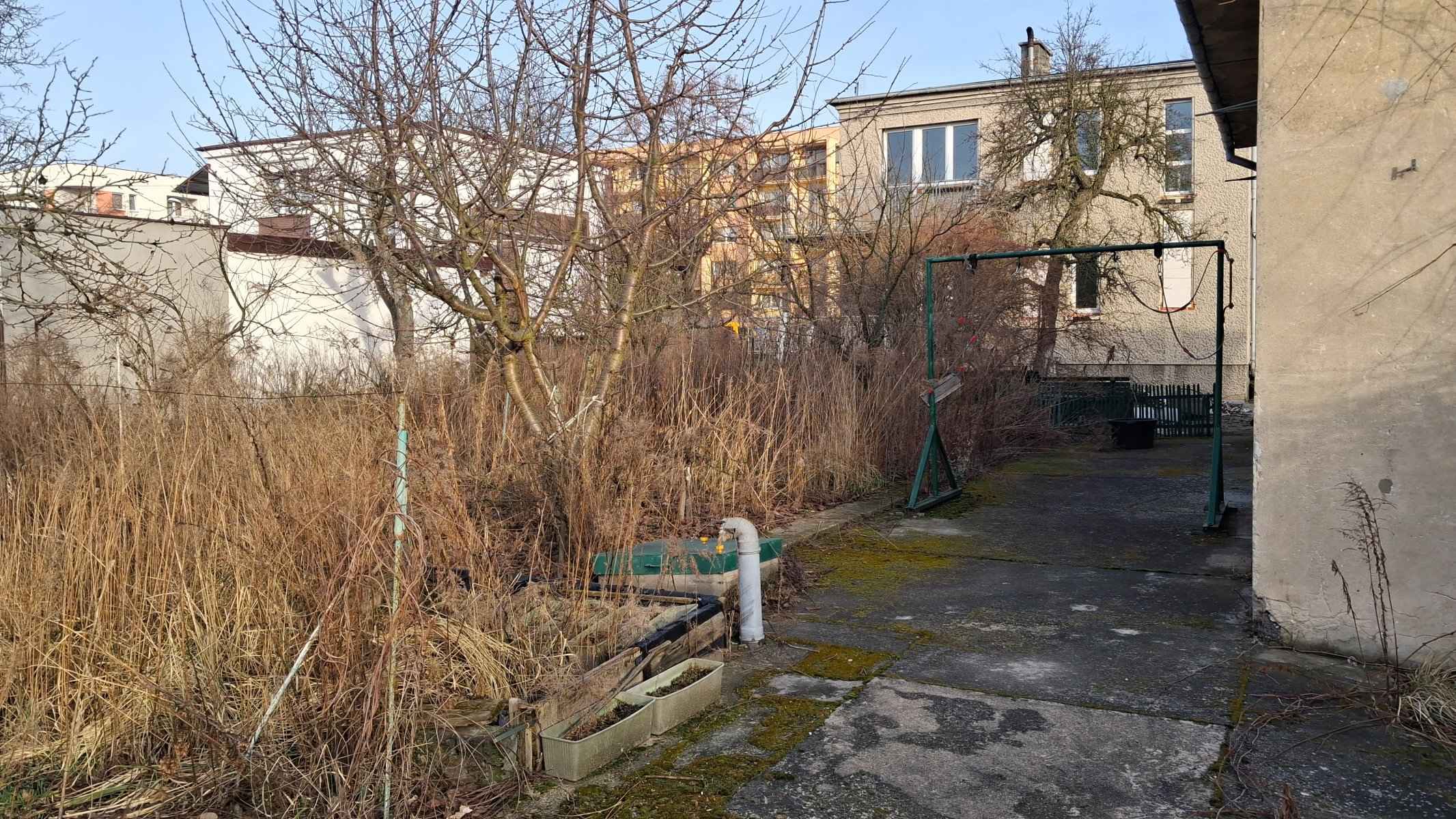 Zaniedbane podwórko przed metamorfozą — zarośnięte rabaty i omszały beton
