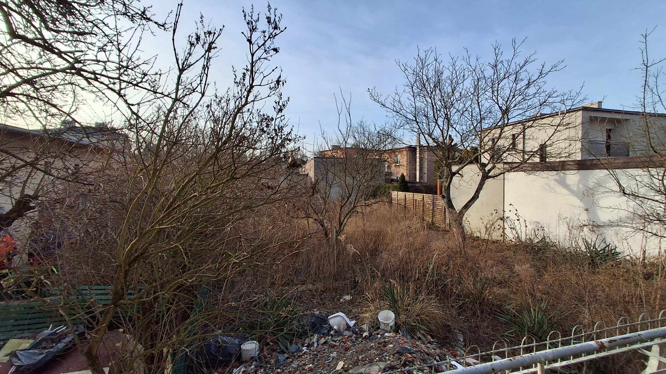 Zaniedbany, zarośnięty ogród przed metamorfozą — suche trawy, samosiewy i gruz