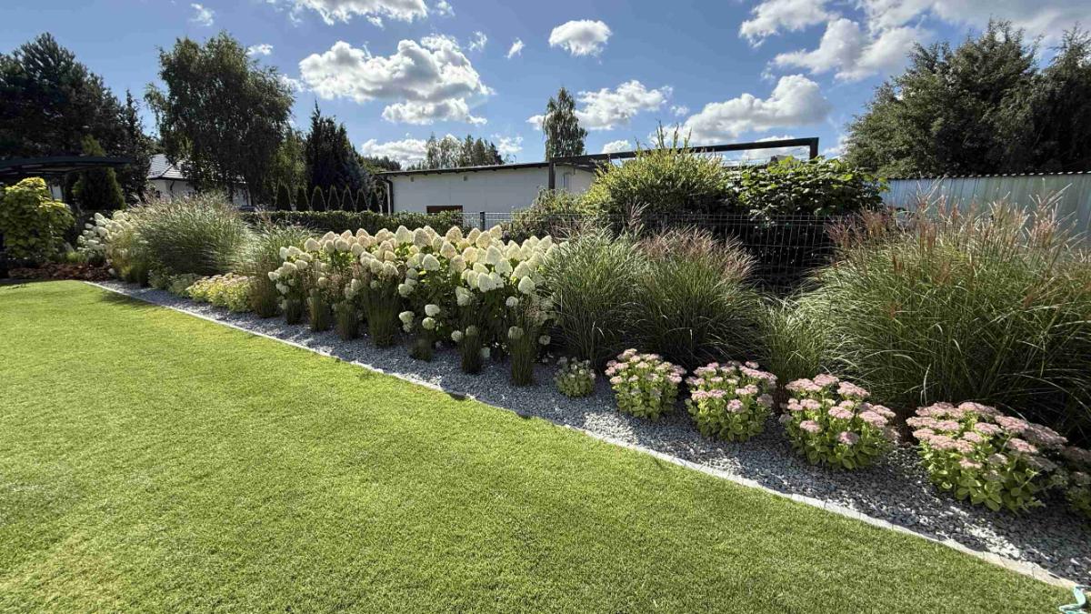 Trawnik przy rabacie z traw ozdobnych i hortensji — realizacja GardenProducts