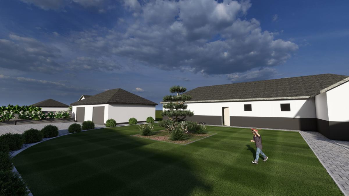 Projekt ogrodu 3D — rabata z hortensjami i czosnkami ozdobnymi przy alejce z kostki